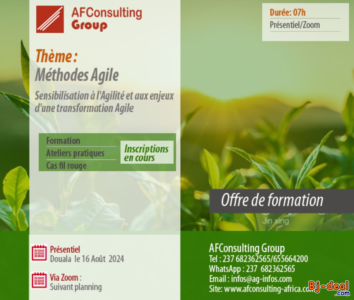Image principale de Sensibilisation à l&amp;#039;Agilité et aux enjeux d&amp;#039;une transformation Agile, Inscriptions en cours