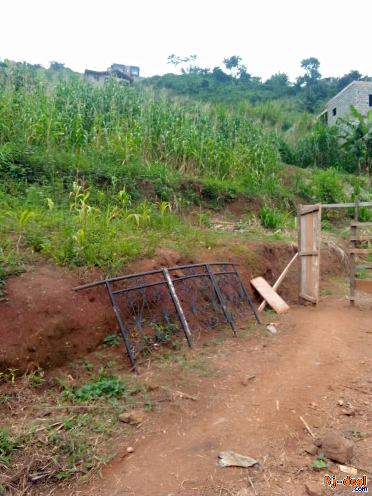 Main image of Terrain titrée à vendre à Febe village chez le gouverneur