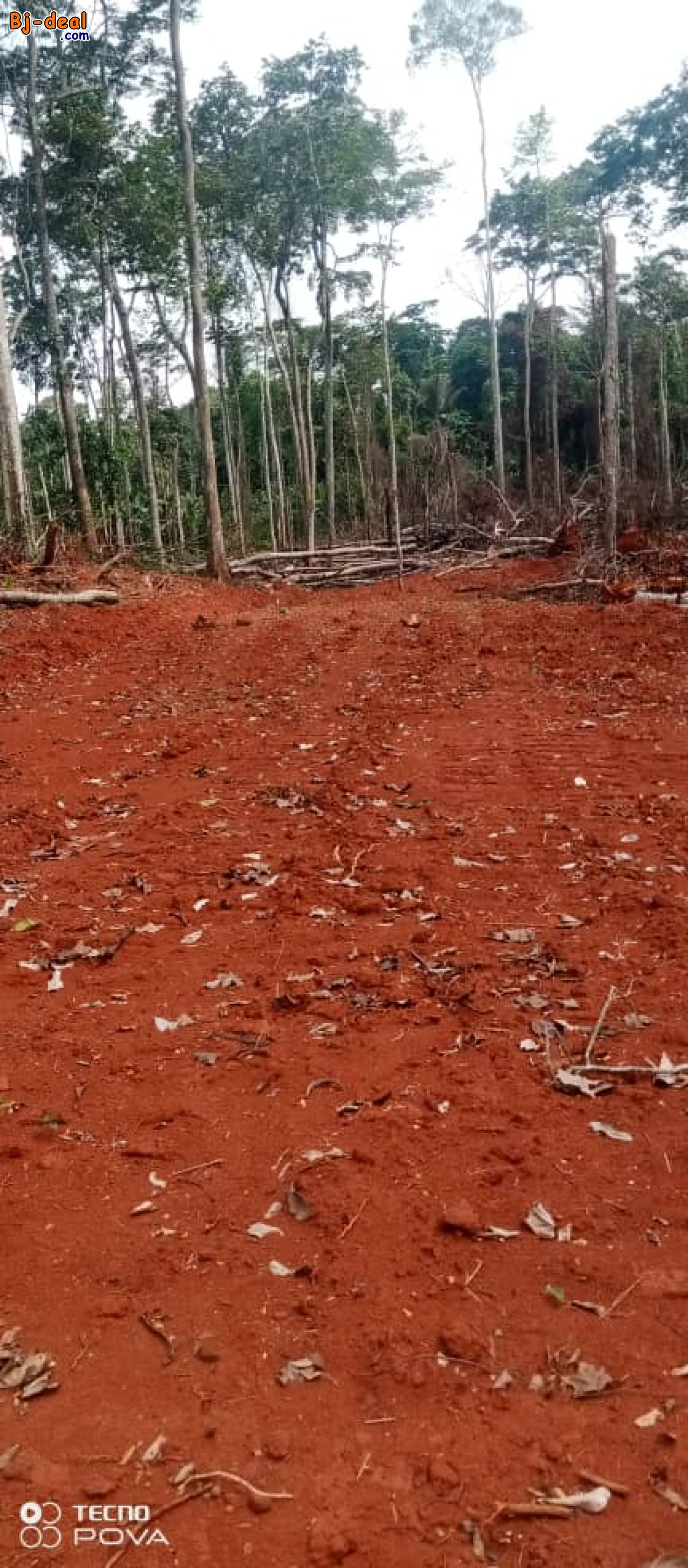 Image principale de Terrain titre et loti à vendre