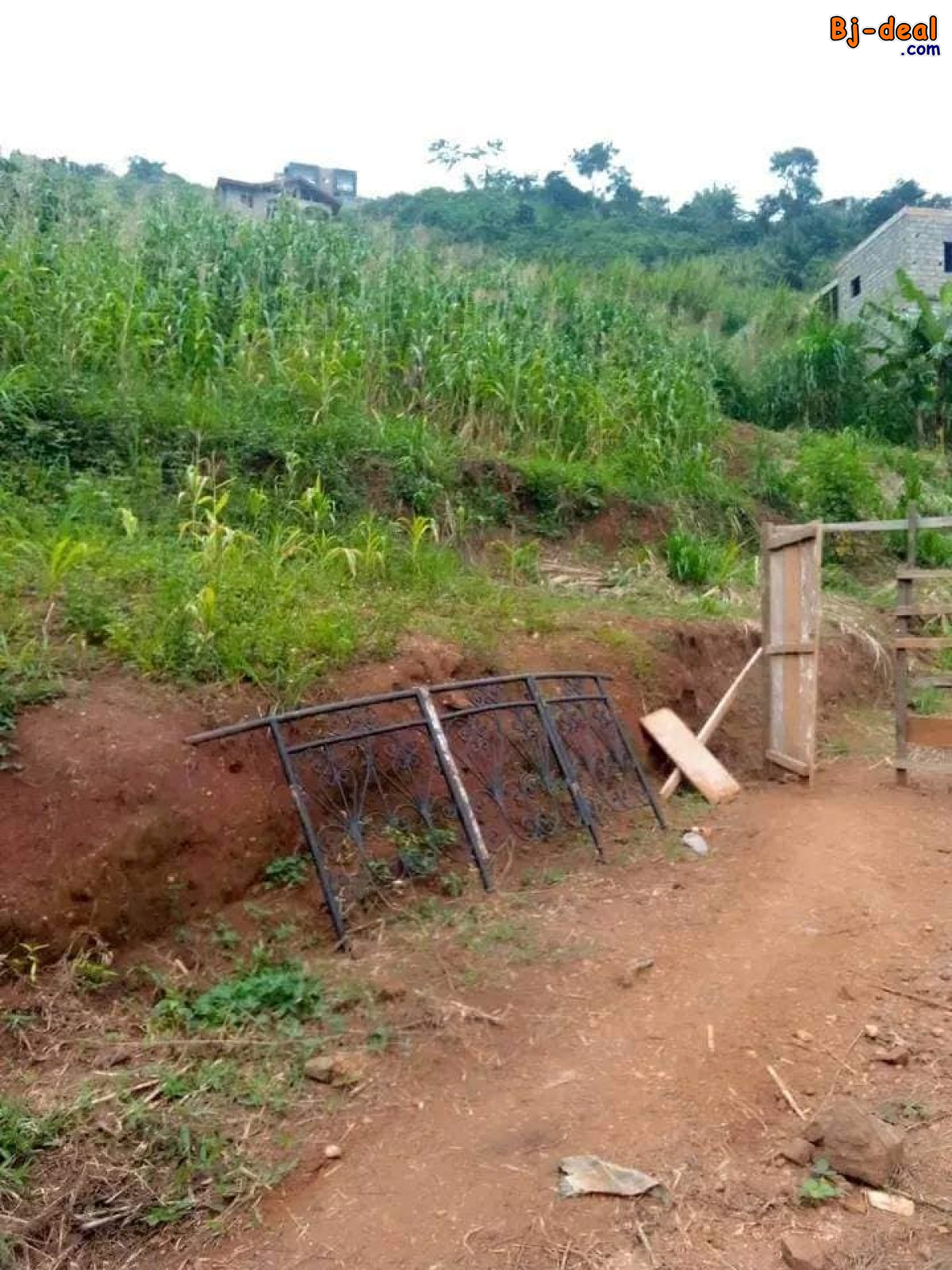 Image principale de Terrain titré à vendre à Febe village Yaoundé à un prix cadeau