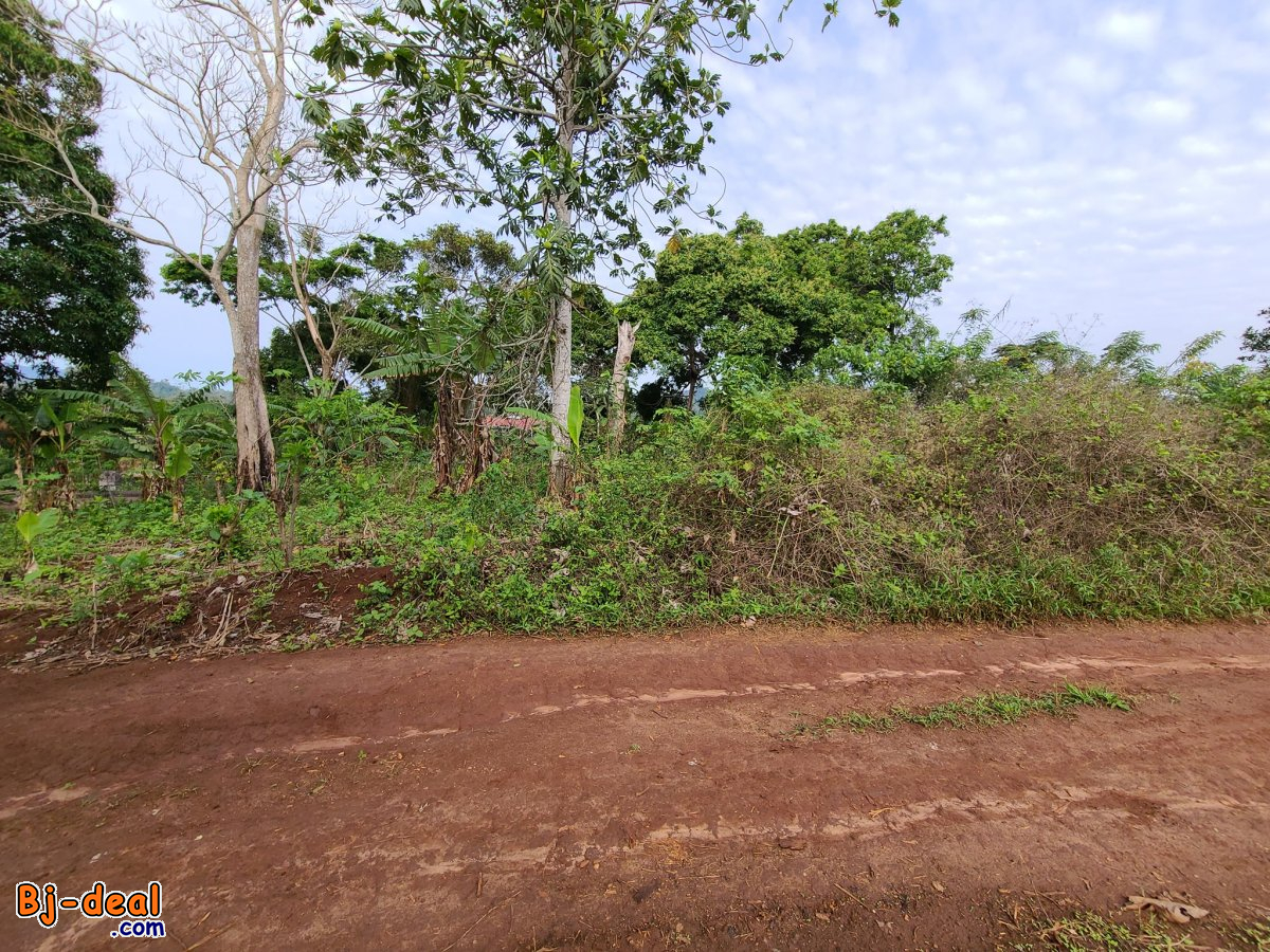 Main image of Terrain titré 1000m² À VENDRE