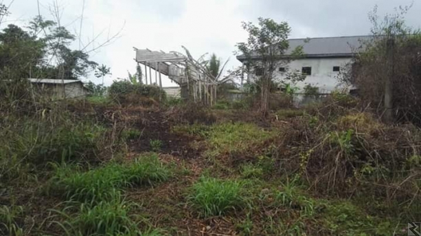 Main image of Terrain de 500m2 titré a vendre a Kribi