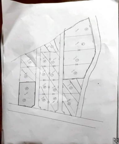 Image principale de Terrain titré a vendre a Soa