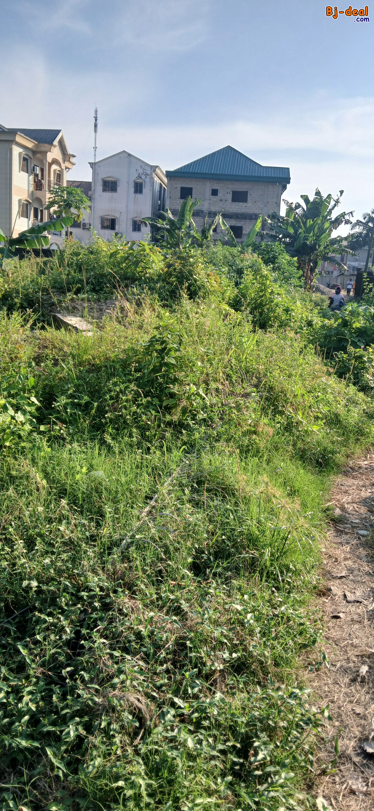 Image principale de Terrain a vendre a Bonaberi 1000m2