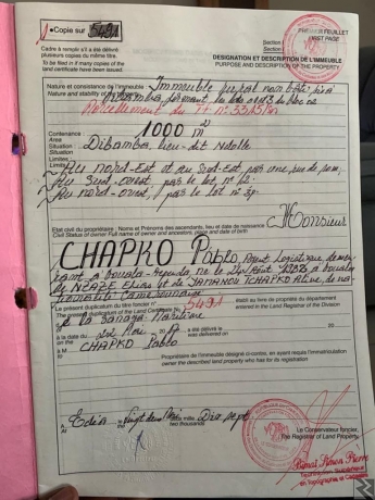 Image principale de 1000 m2 de terrain en vente a Edea