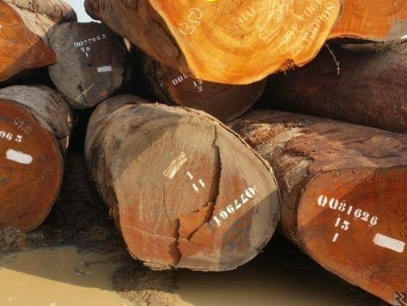 Main image of APPEL D'OFFRE