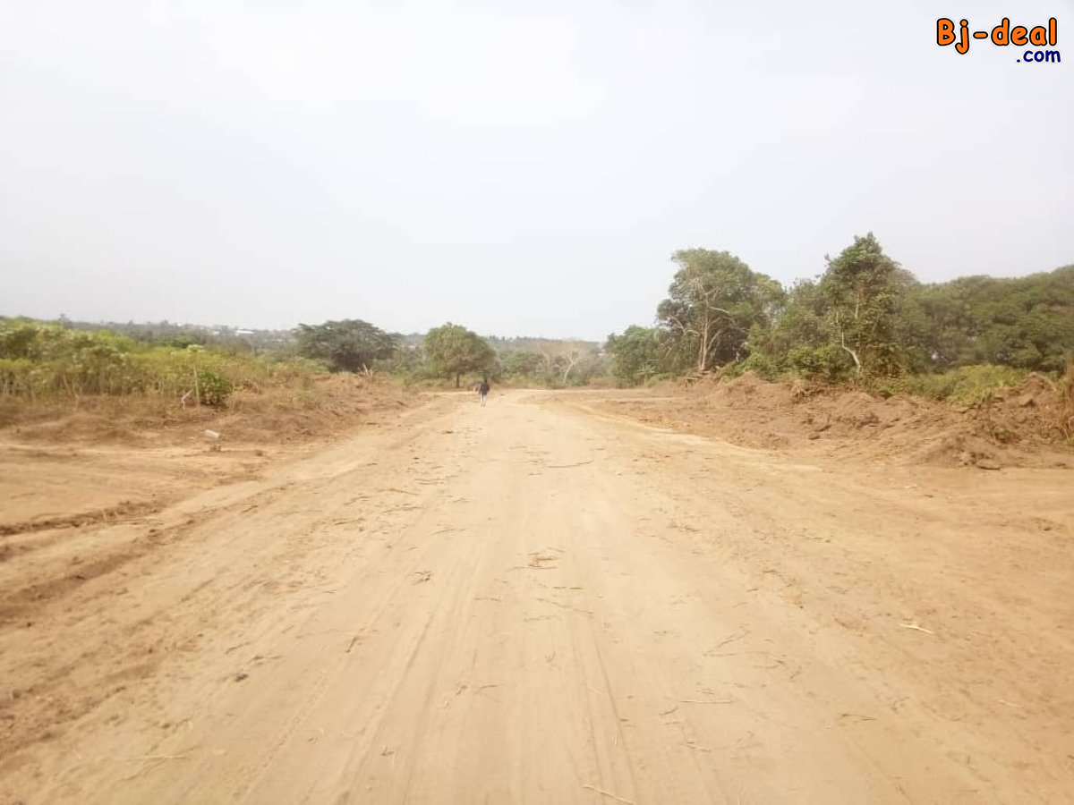 Image principale de Lotissement 60 hectares a vendre a Bomono Douala