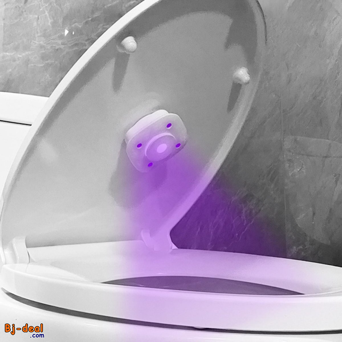 Image principale de STERILISATEUR POUR BIDET efficace