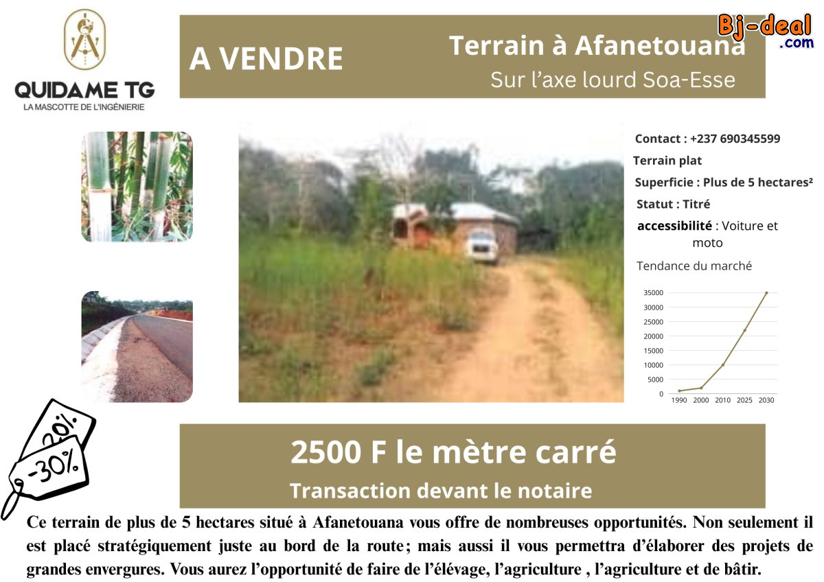 Main image of Magnifique terrain à Afanetouana