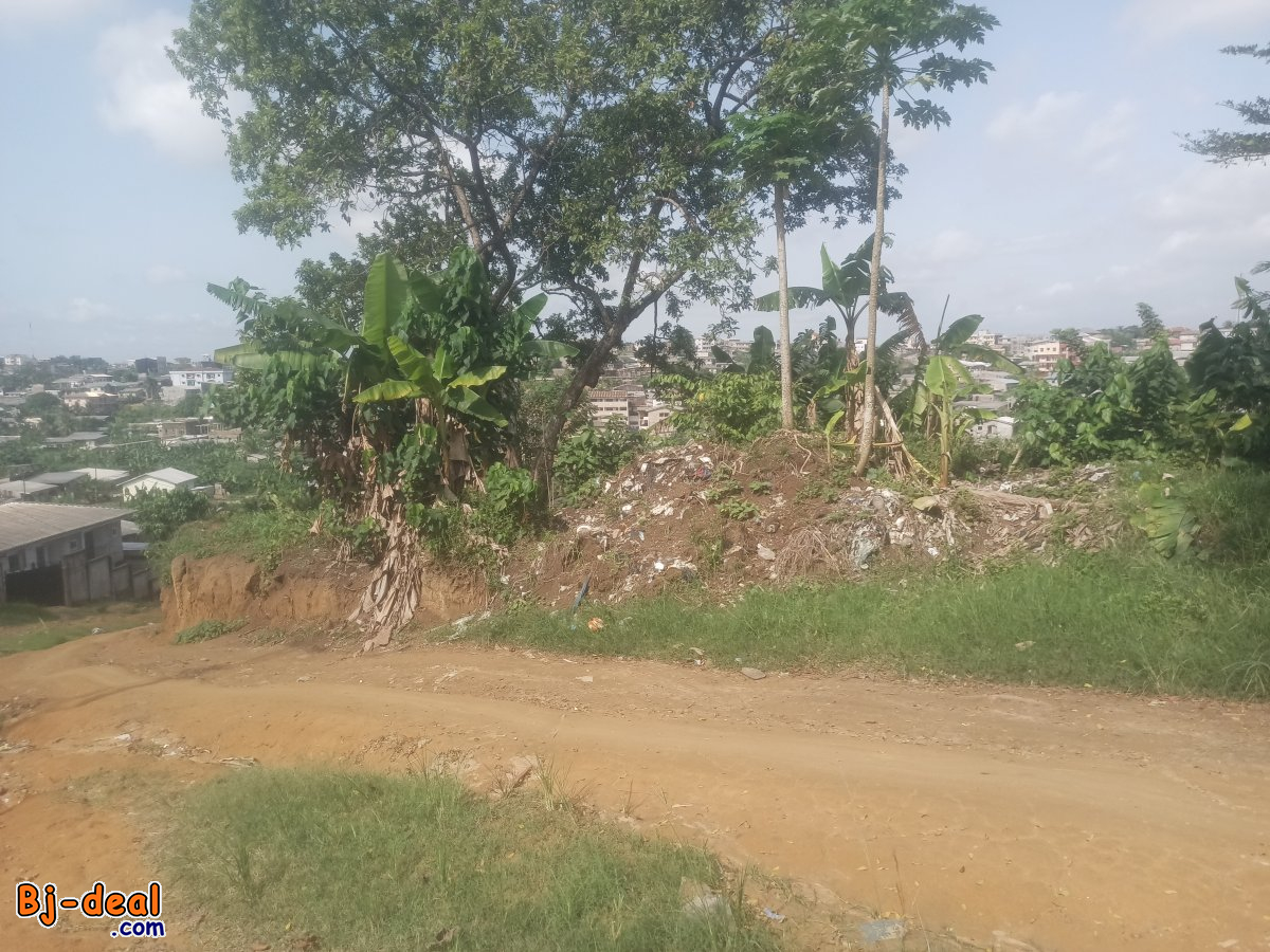 Image principale de 4000 m² Terrain titré mutation totale à vendre à Yassa lieu-dit Cité lumière