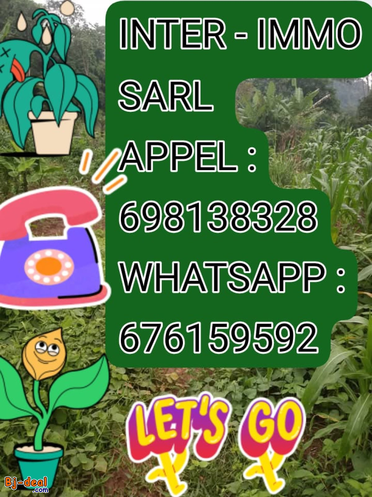 Main image of Grande opportunité à saisir