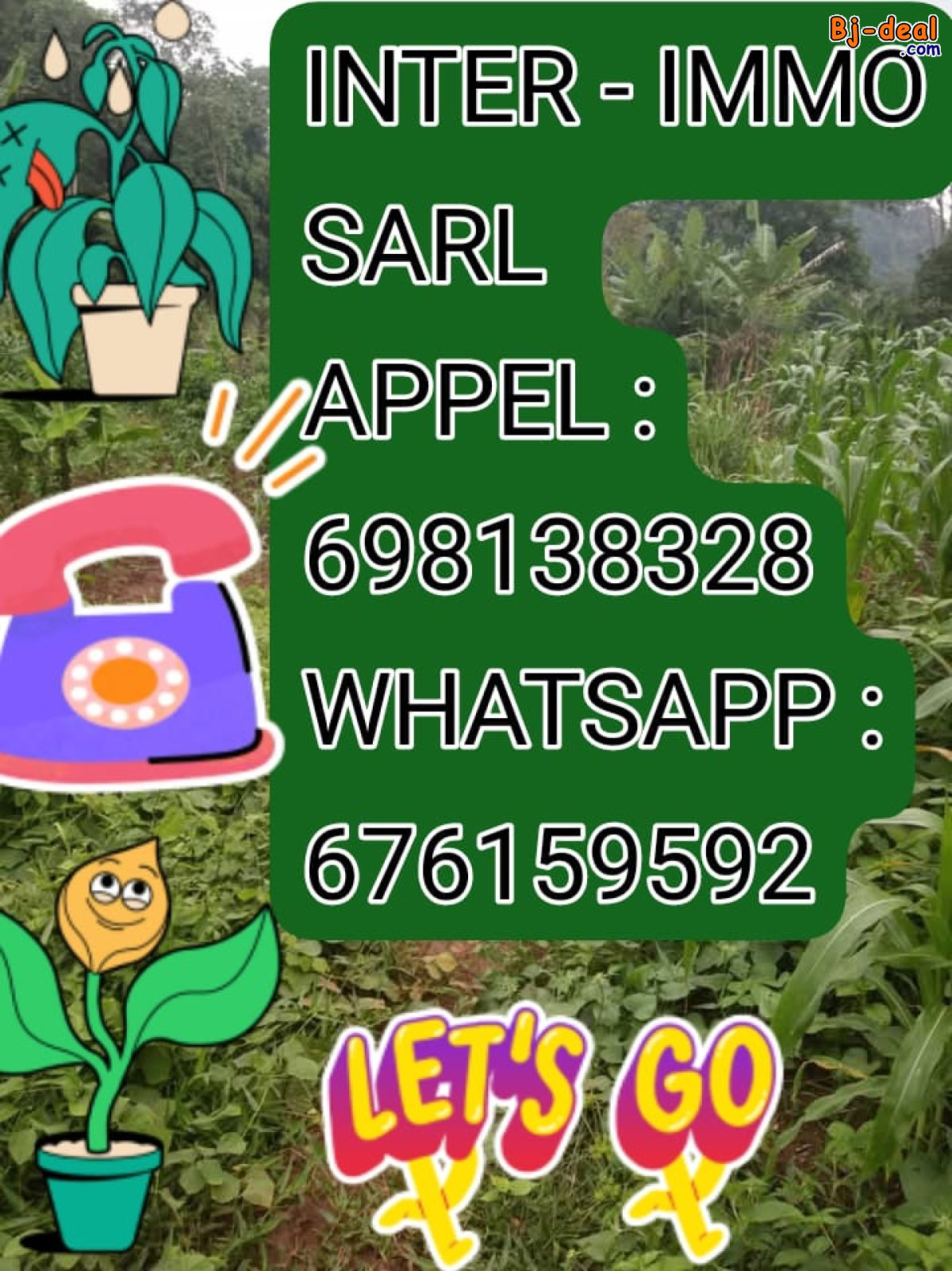 Image principale de Terrain agricole à vendre