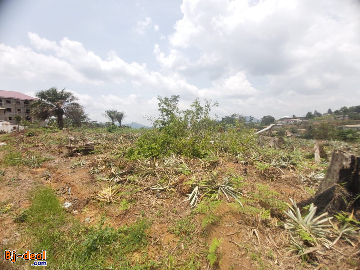Image principale de 04 Lots de Terrains Titré de  500m² à vendre à Mbankomo en Bordure de Route.