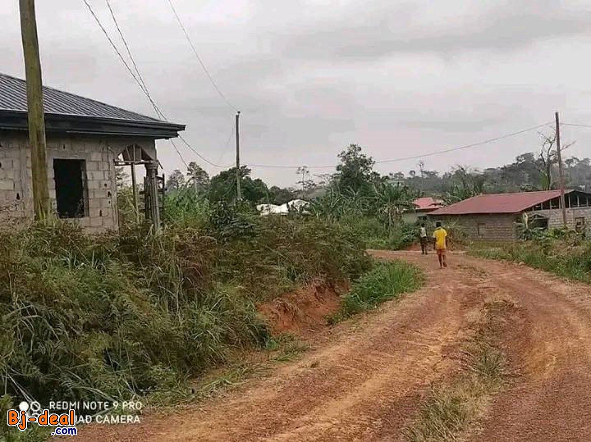 Image principale de Terrain Titré et Loti à vendre à Nsimalen