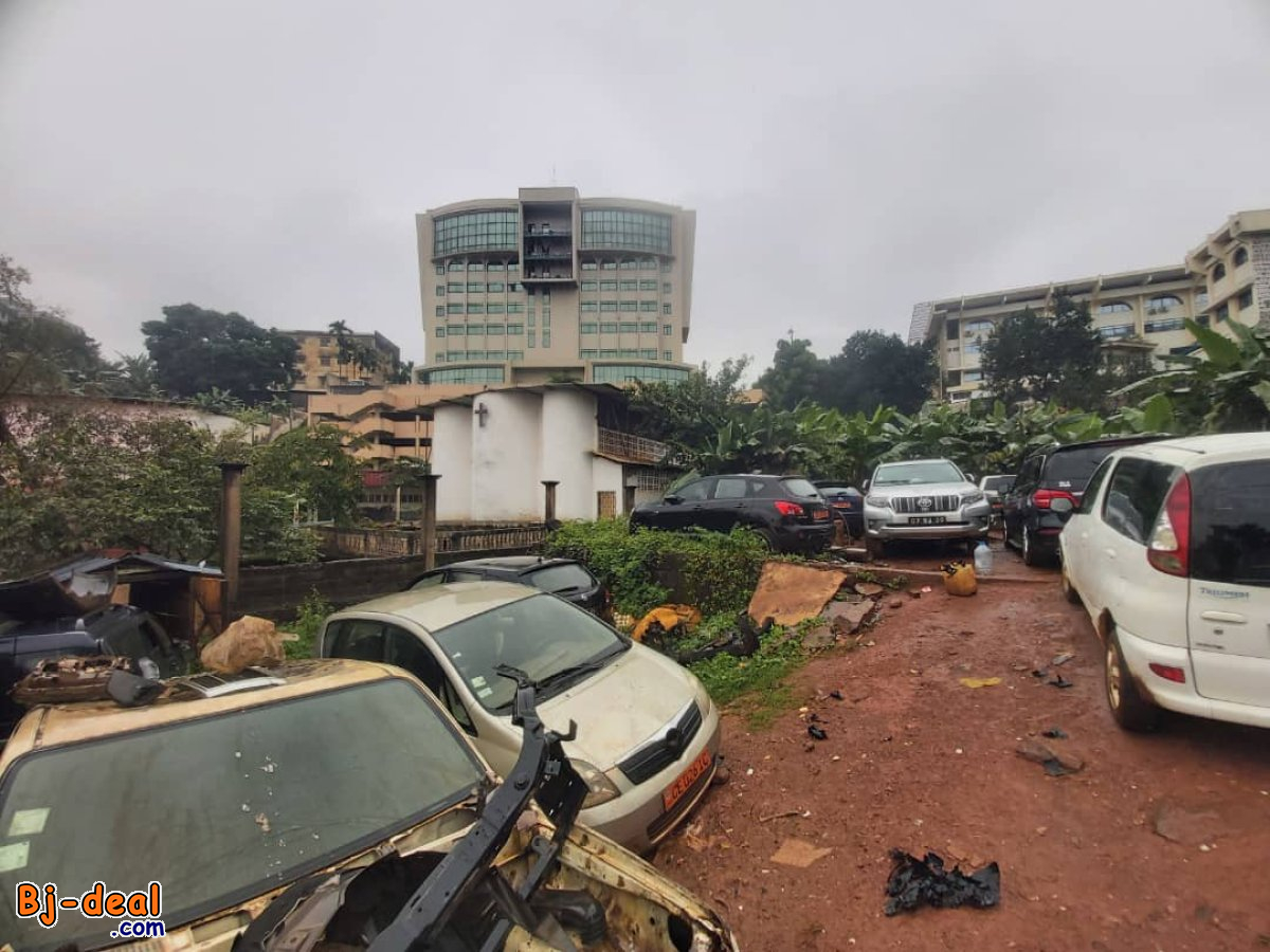 Image principale de Magnifique Opportunité de Terrain Commercial de 700m² à vendre