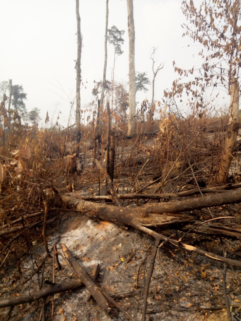 Image principale de Terrains titrés