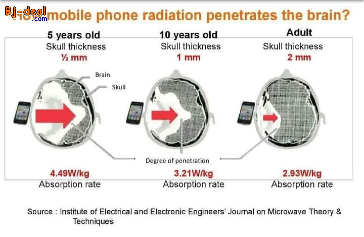 Main image of ALPHA SPIN NATURAL BZZWORLD
