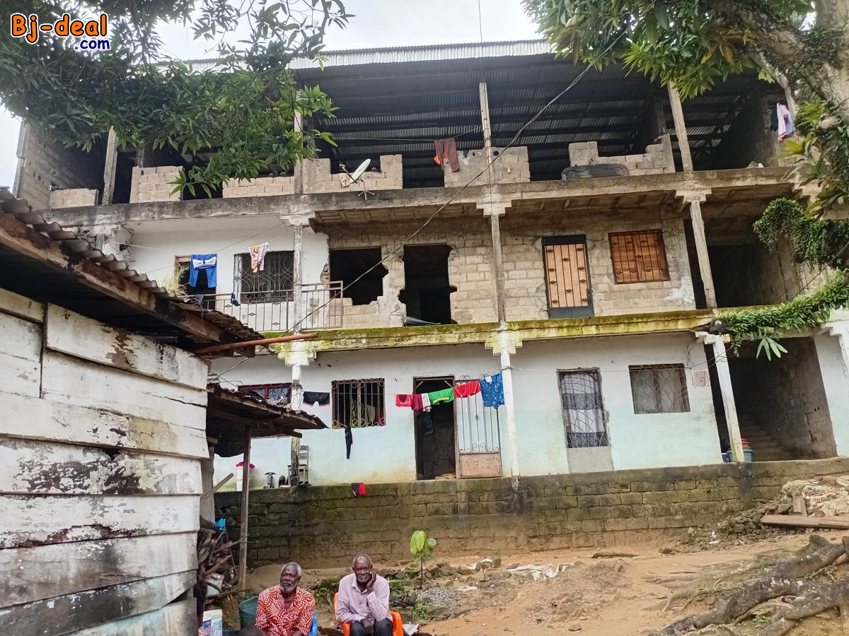 Image principale de Immeuble sur un terrain de 600m² plus une maison en planche avec espace vert