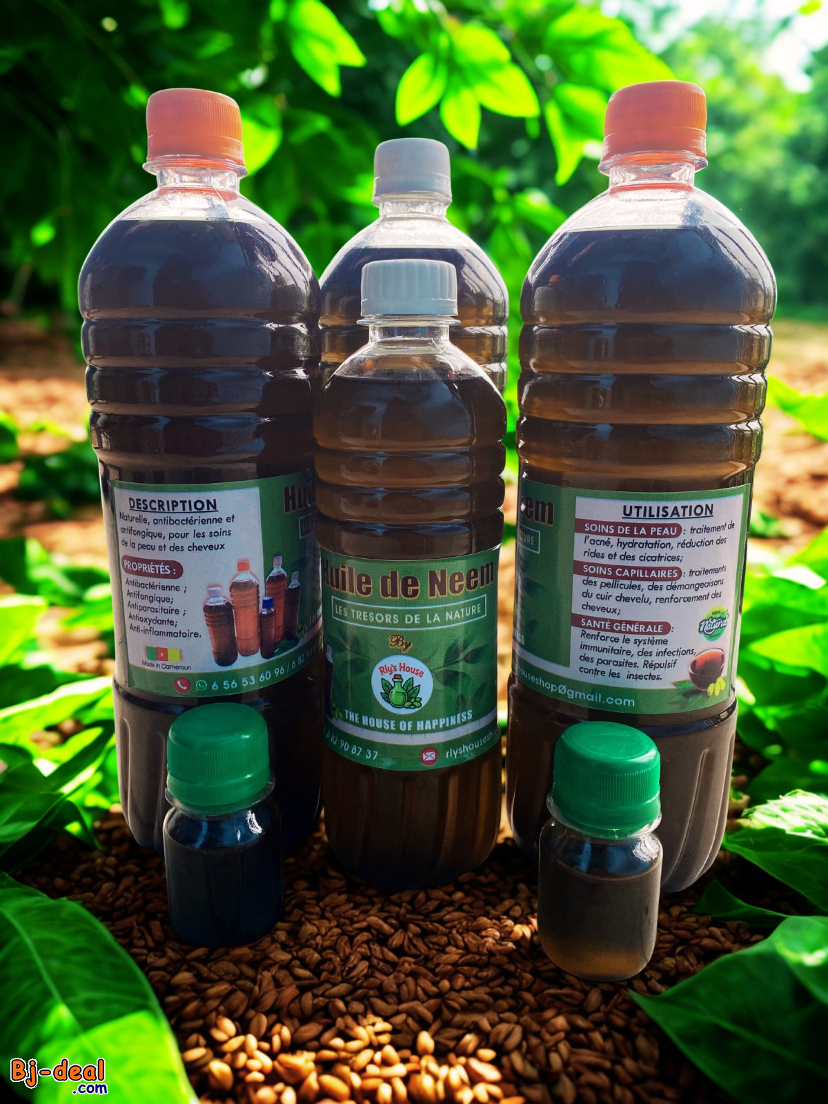 Image principale de Huile de Neem et grains de Neem