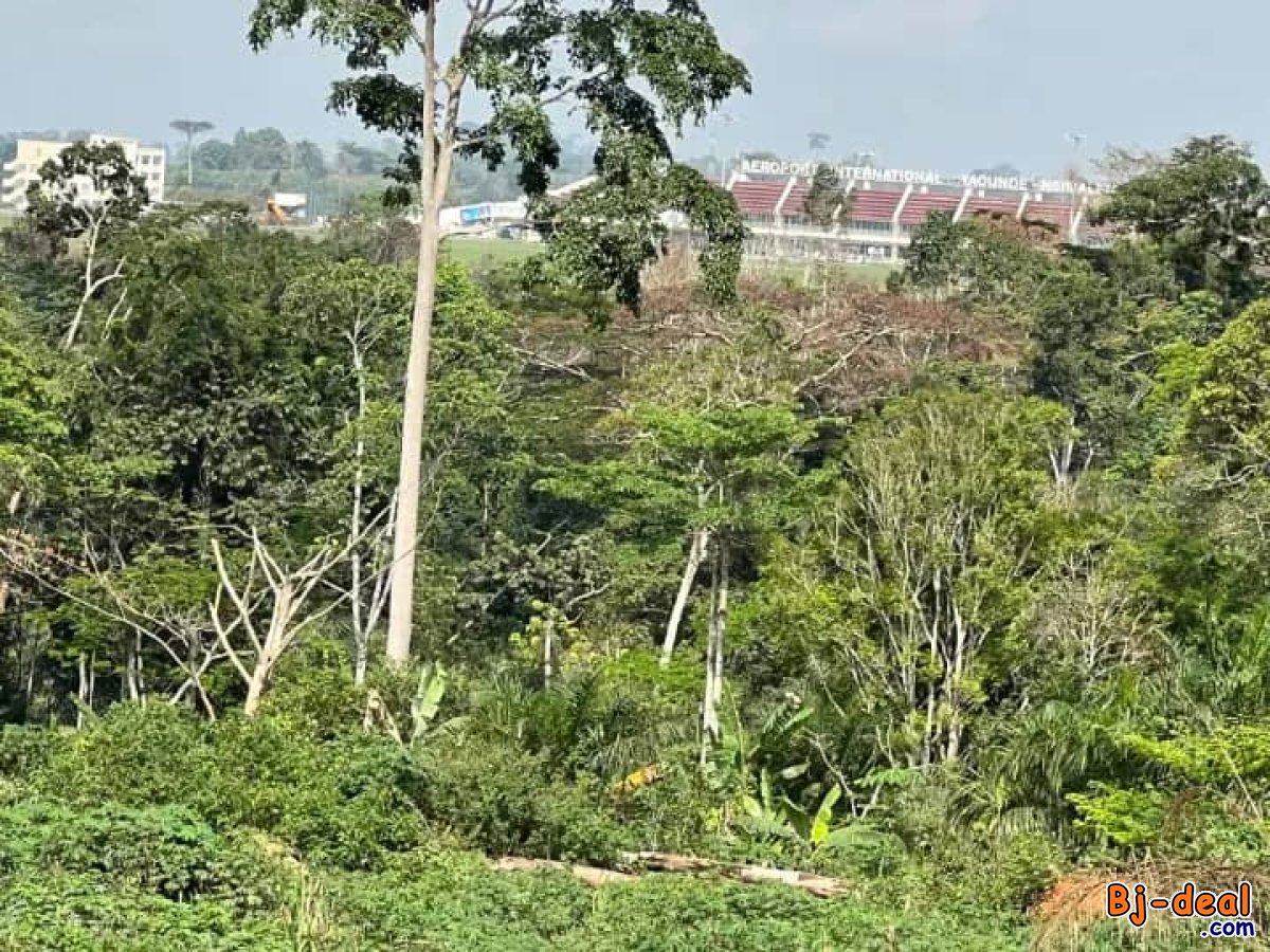 Main image of Terrain 3500m² Abordable à vendre à Nsimalen