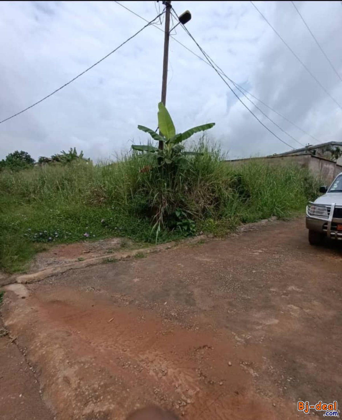 Main image of Terrain Titré 1.000m² à vendre à Odza