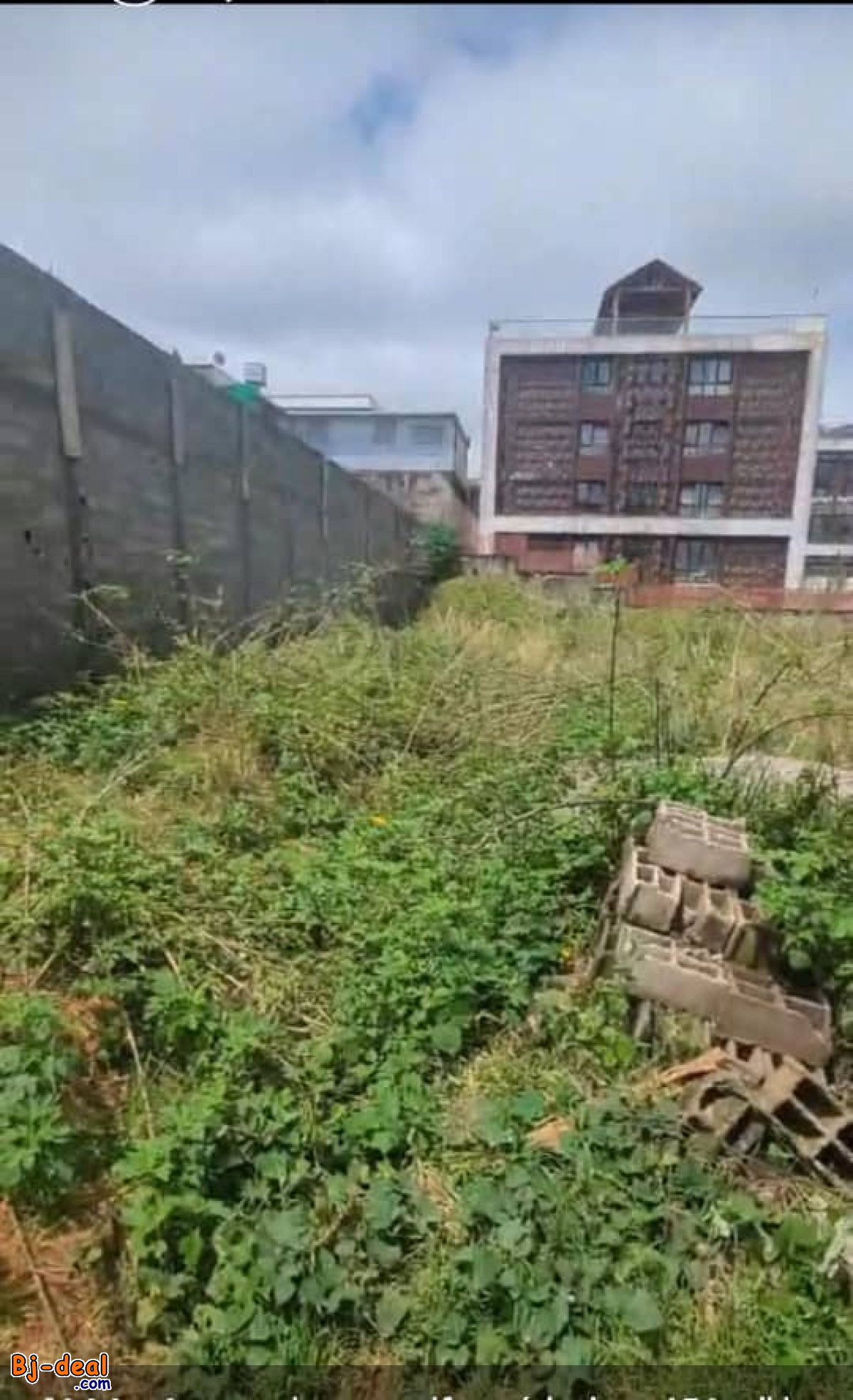 Main image of Terrain de 1000m² à vendre à Bastos