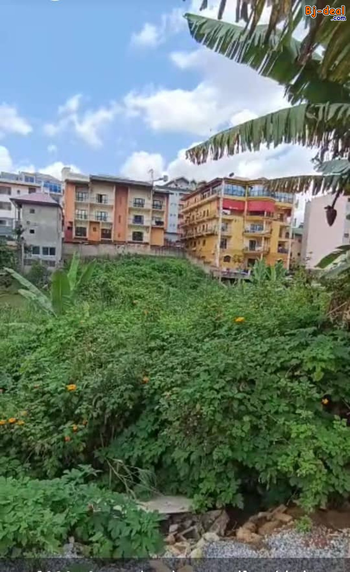 Image principale de Terrain Titré de 1000m² à vendre à Bastos