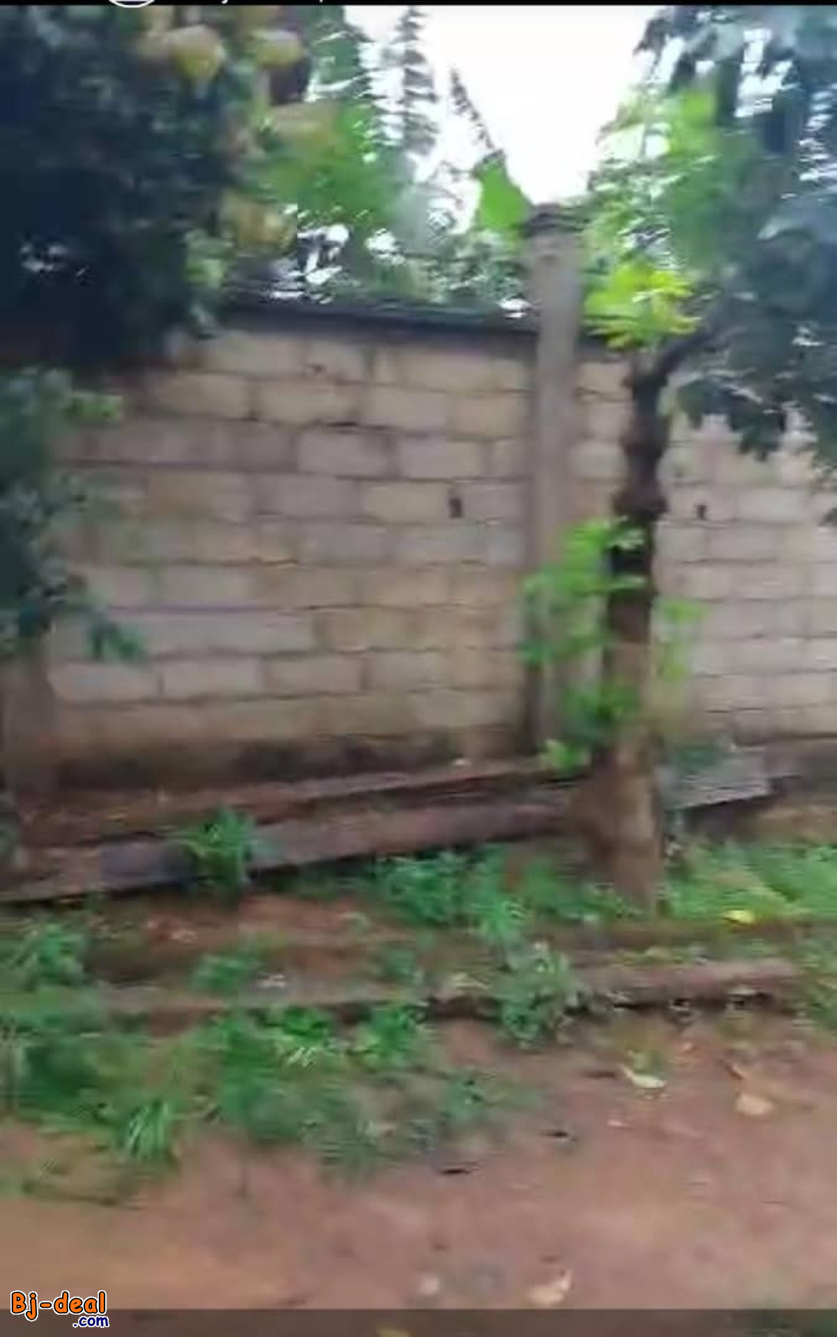 Image principale de Terrain Titré de 1320m² à vendre à Odza