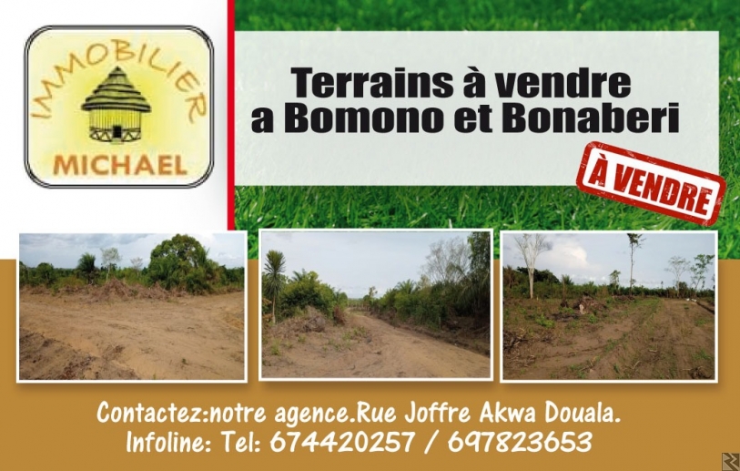Image principale de Terrains a vendre a Douala