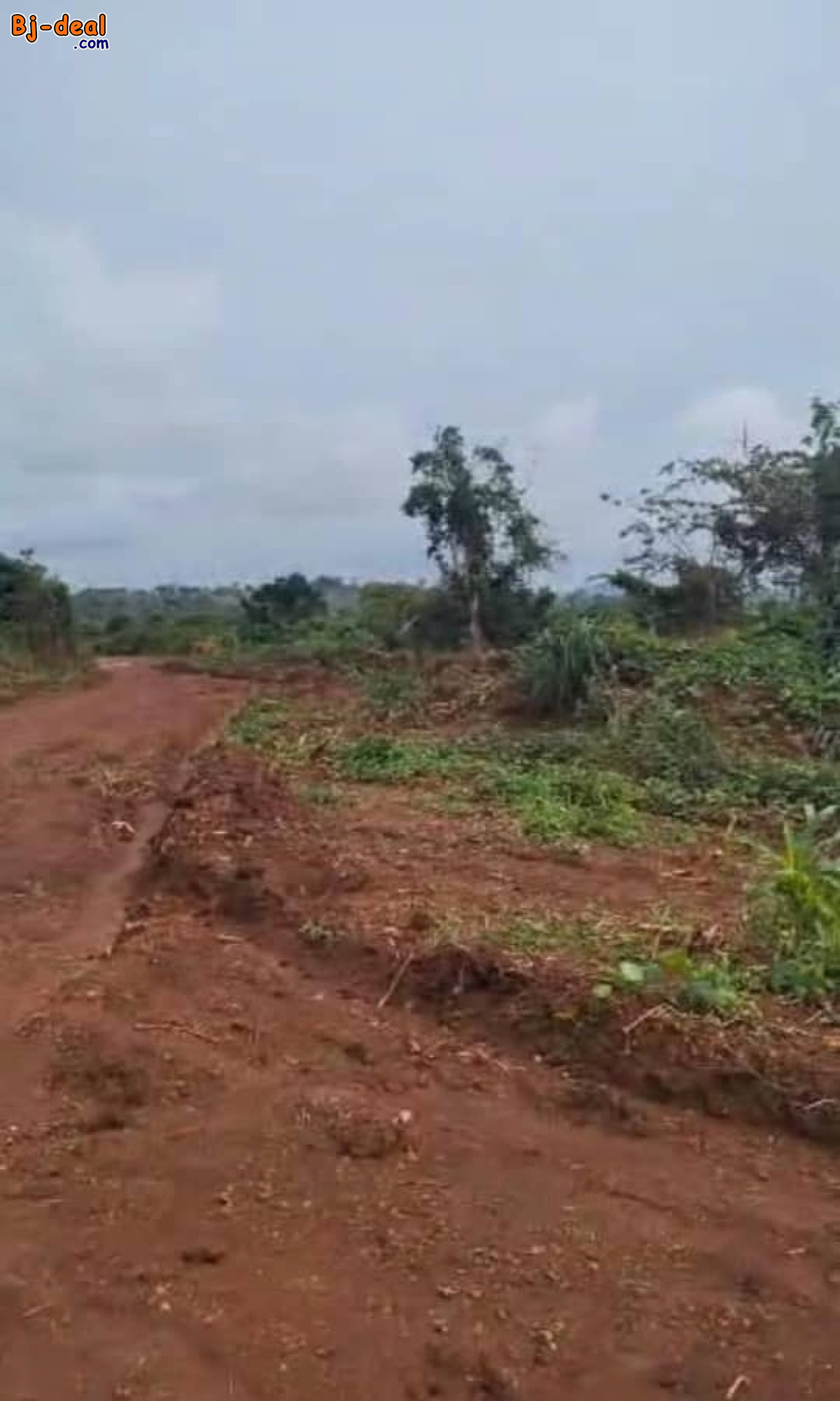 Image principale de Terrain Titré de 2500m² à vendre à Soa