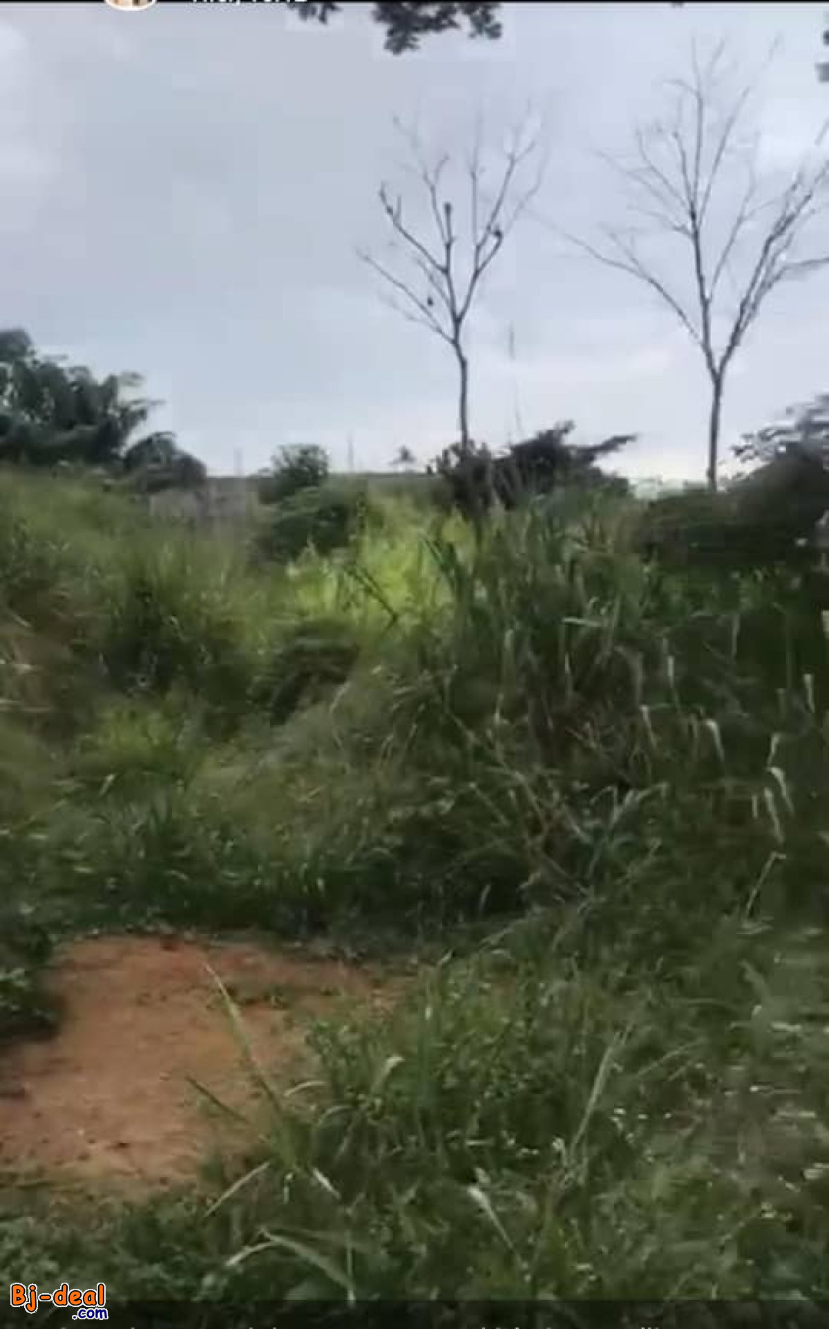 Image principale de Terrains Titré Abordable de 200m² à vendre à Odza