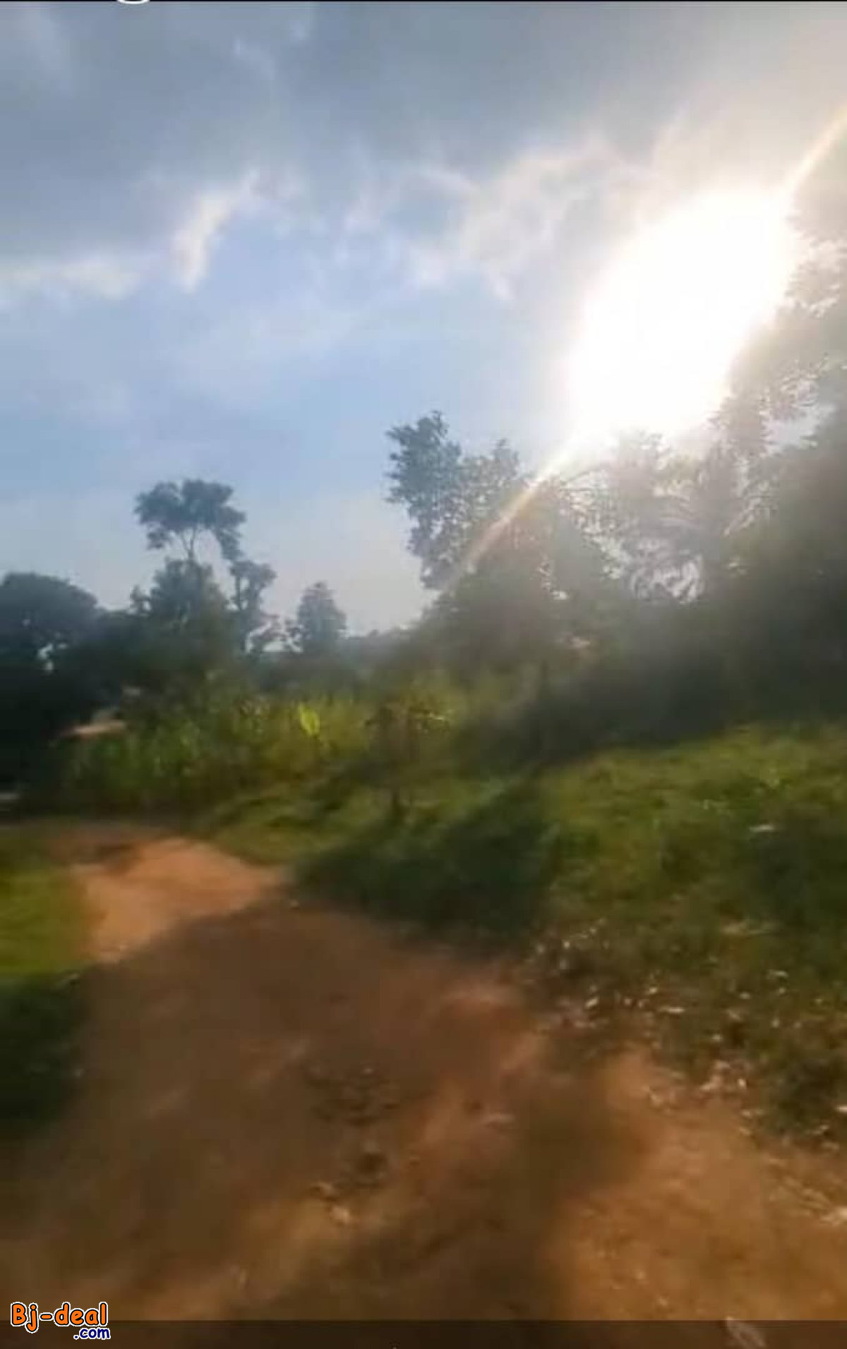 Image principale de Terrain Titré de 3000m² à vendre à Odza