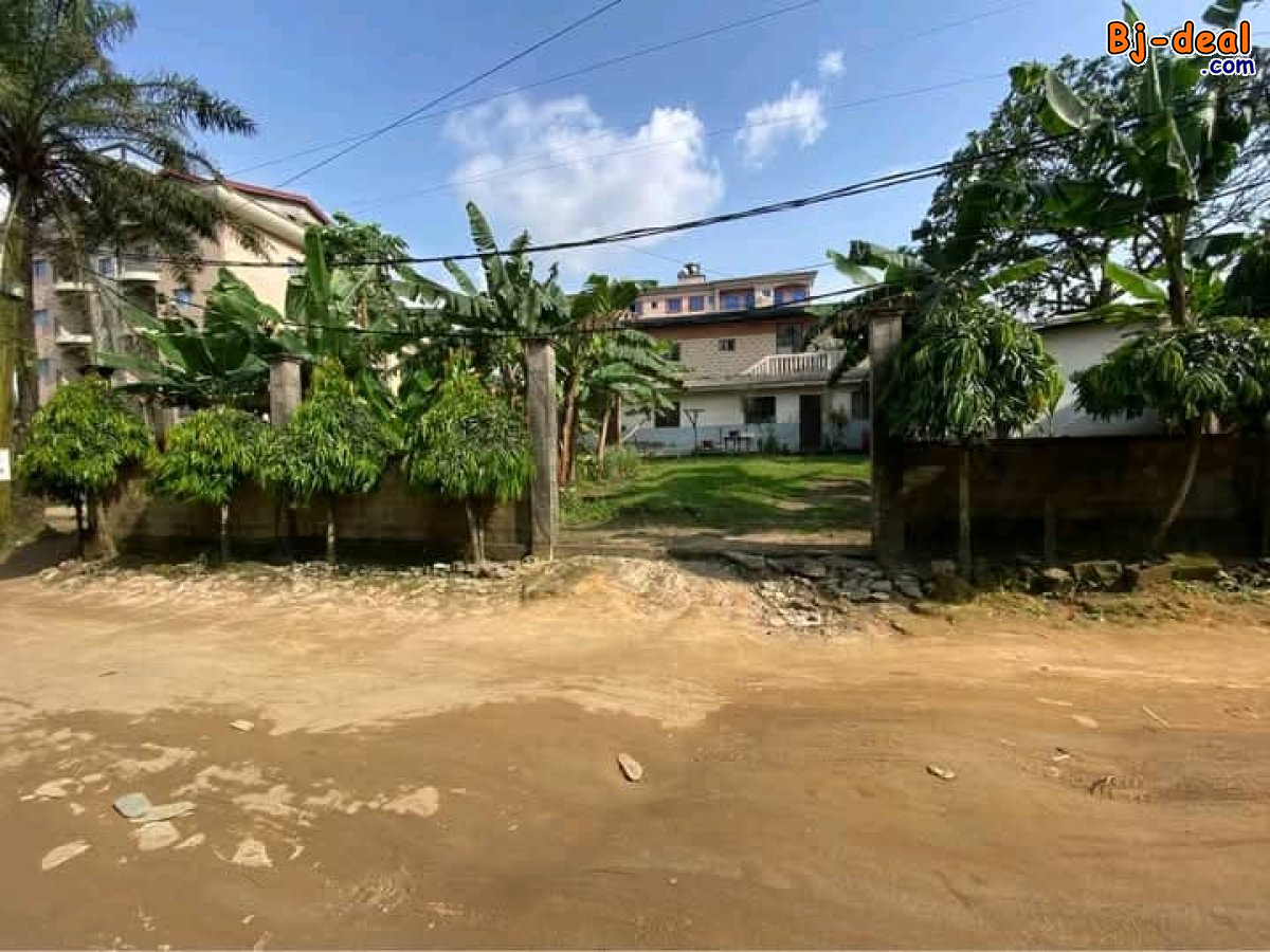 Image principale de Terrain Titré de 450m² à vendre à Kotto, Douala