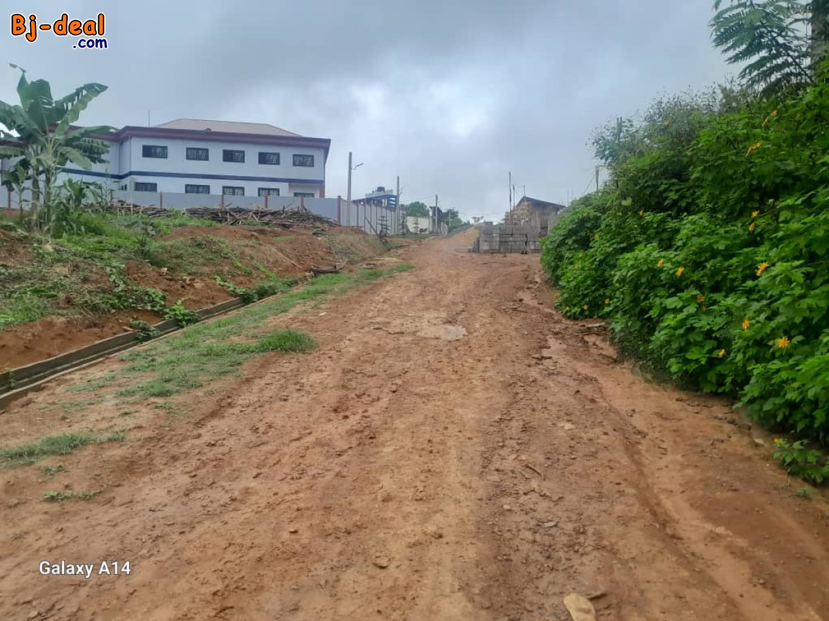 Image principale de Terrain de 5000m² à vendre à Mbankolo