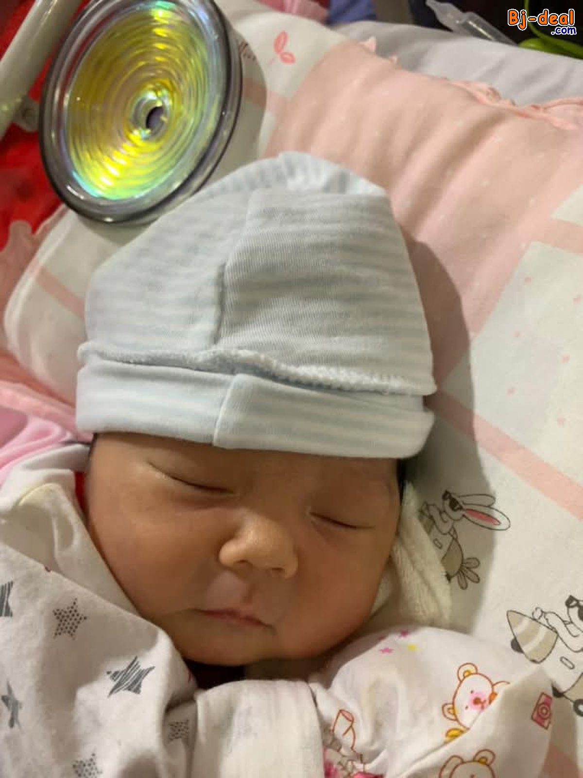 Image principale de ALPHA SPIN NATURAL BZZWORLD