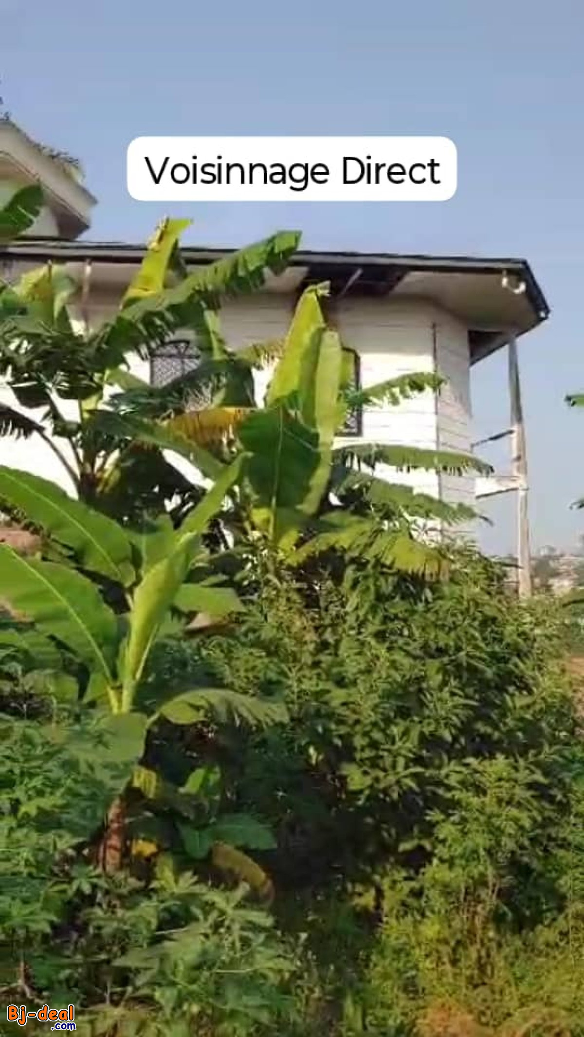 Image principale de 02 Lots de Terrain Titré Jumelé en 1200m² à vendre à Mvan