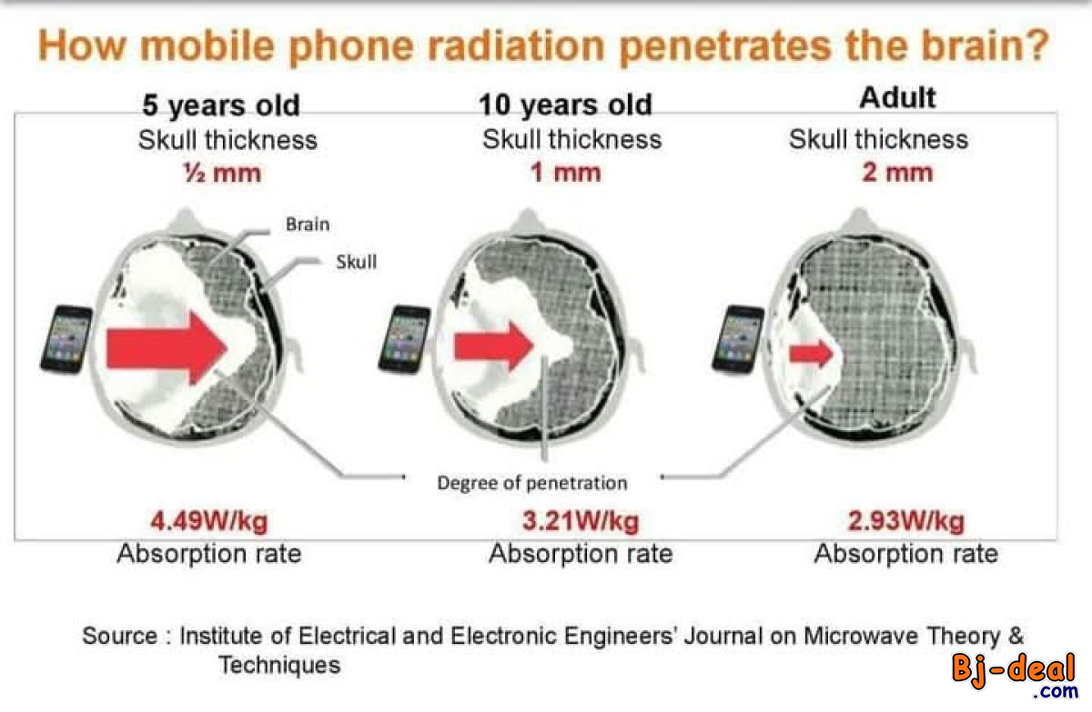 Image principale de ALPHA SPIN NATURAL BZZWORLD