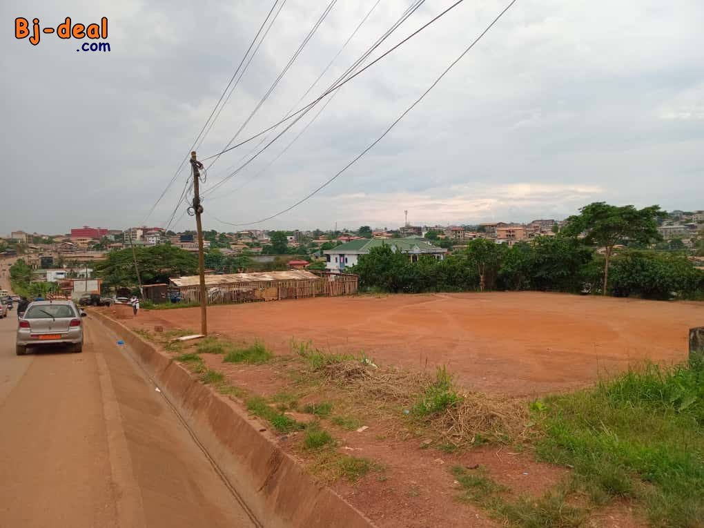 Image principale de Terrain Commercial Titré de 3992m à vendre à Nkolfoulou