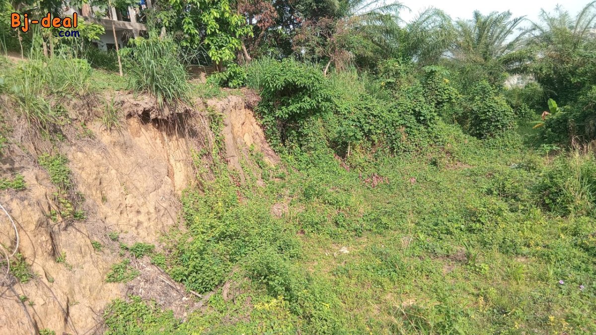Main image of Terrain 400m titré à village ari