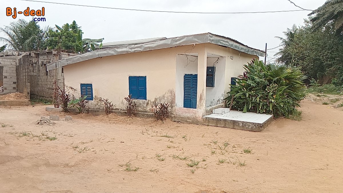 Main image of Maison à vendre à la Cité des Palmiers