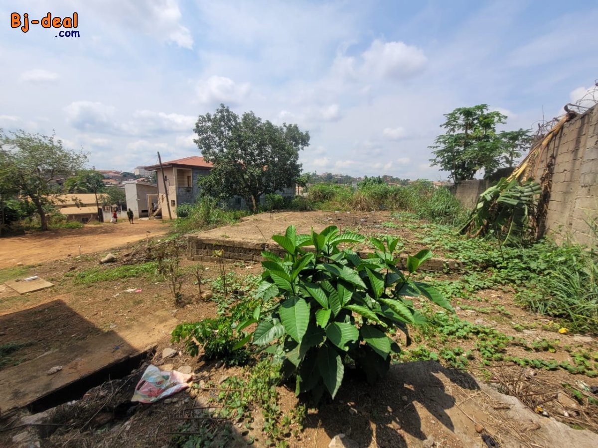 Image principale de Magnifique Opportunité dun Terrain Titré de 500m à vendre à Odza