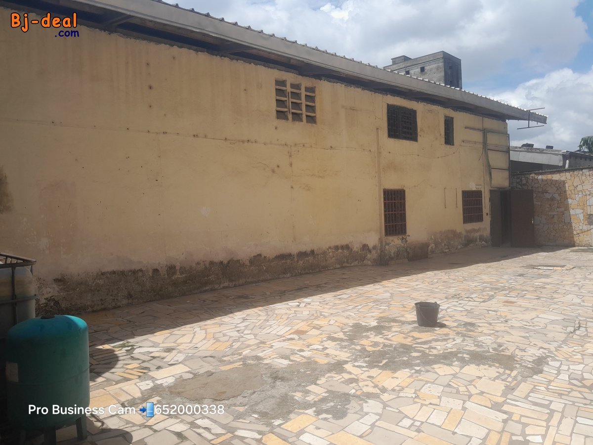 Image principale de Entrepôt a louer a akwa 250m2 bien situé en borudure de route