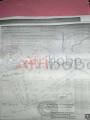 Image principale de Terrains à  vendre Yaoundé sur route Mbalmayo