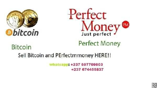 Image principale de Vendeur de monnaie Bitcoin et Perfectmoney Camer