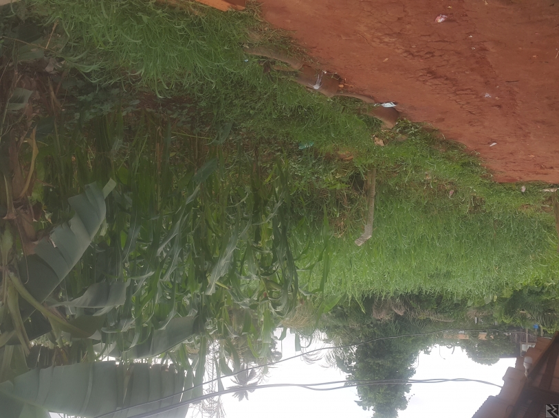 Image principale de Des Terrains à  vendre