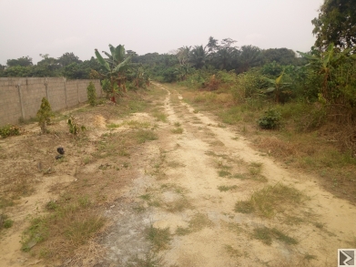 Main image of Terrain a vendre a pk 25