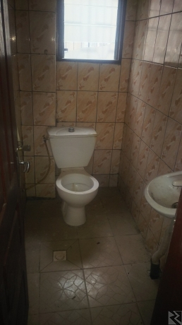 Main image of Urgent  Appartement Moderne à  louer à  Bepanda