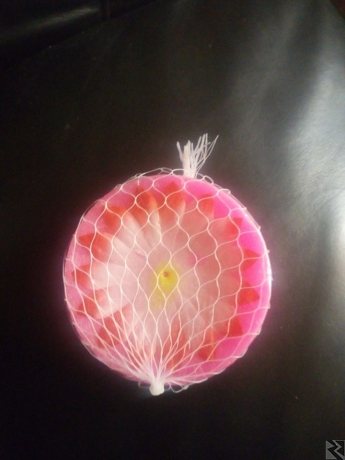 Main image of Offre d'emploi pour jeunes dynamiques