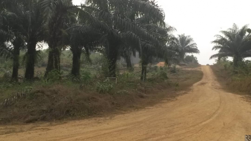 Image principale de TERRAIN TITRE EN VENTE A PK 21