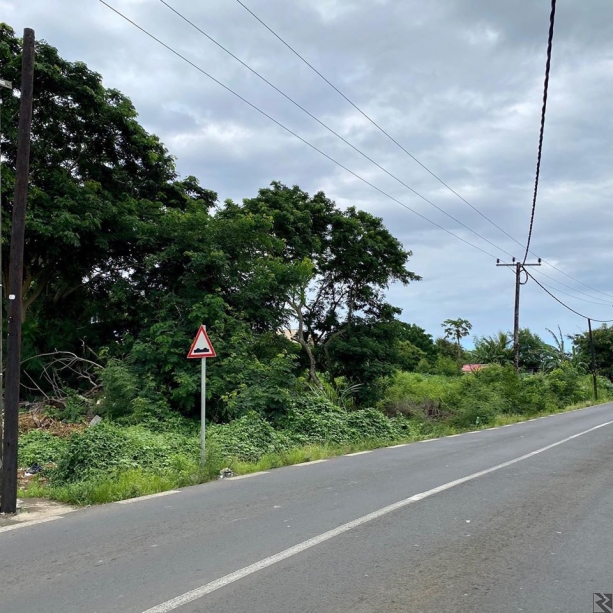 Image principale de Terrain Titré